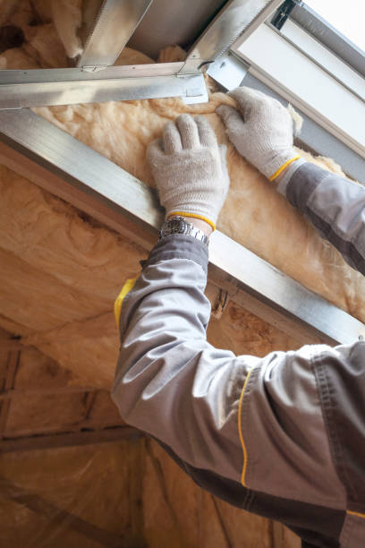 Best Insulation Air Sealing  in Lower Lake, CA