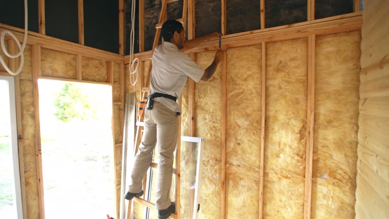 Eco-Friendly or Green Insulation Solutions in Lower Lake, CA